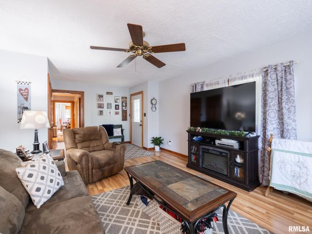 201 N HANNIBAL Street, Tremont, IL 61568