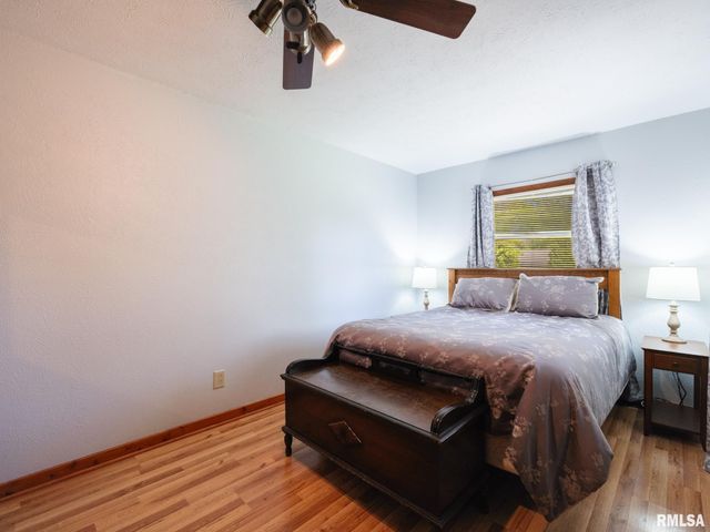 201 N HANNIBAL Street, Tremont, IL 61568