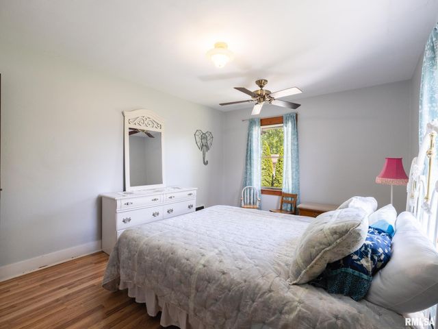 201 N HANNIBAL Street, Tremont, IL 61568