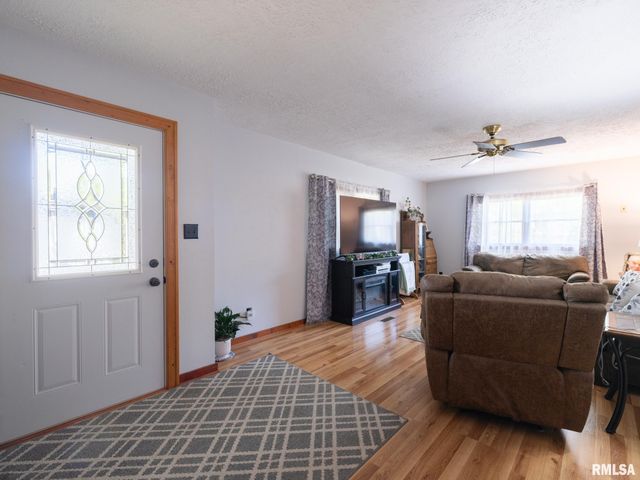 201 N HANNIBAL Street, Tremont, IL 61568
