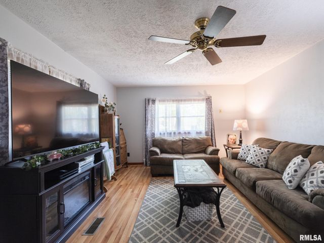 201 N HANNIBAL Street, Tremont, IL 61568