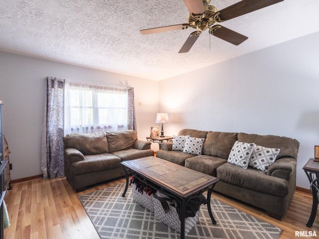 201 N HANNIBAL Street, Tremont, IL 61568