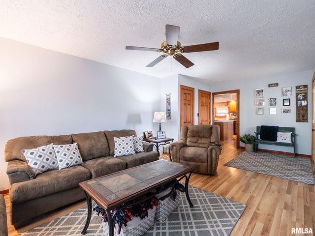 201 N HANNIBAL Street, Tremont, IL 61568