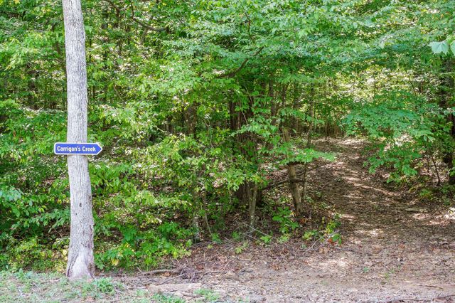 2641 Stamps Shady Grove Rd, Monterey, TN 38574