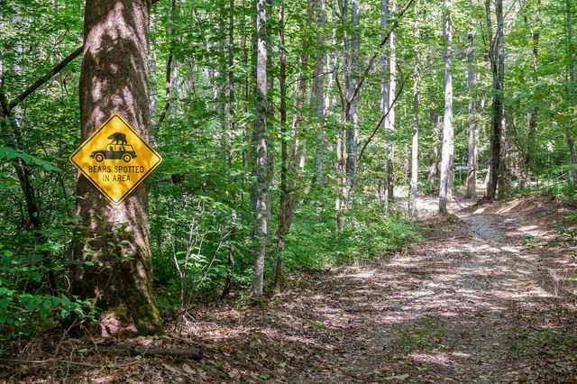 2641 Stamps Shady Grove Rd, Monterey, TN 38574