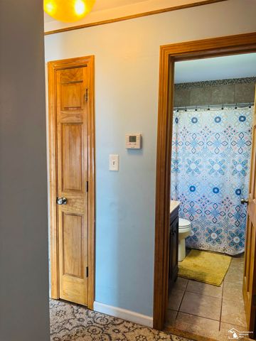 1482 16th Street, Wyandotte, MI 48192