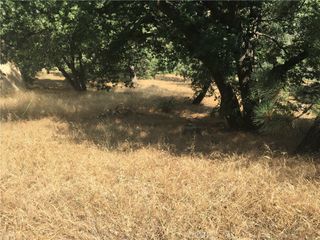 30481 Live Oak, Running Springs, CA 92382