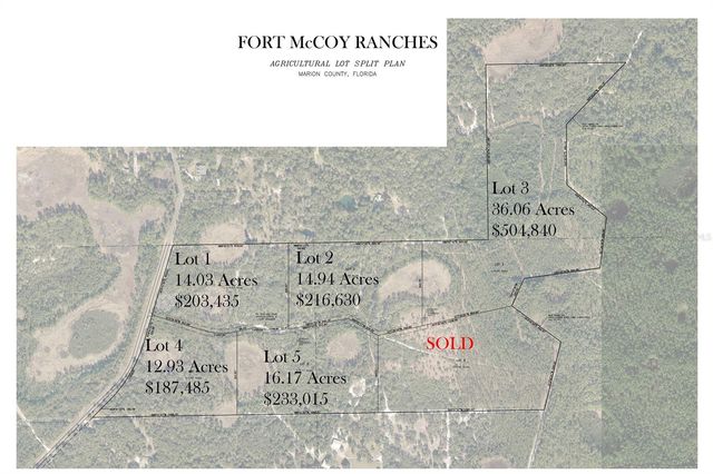 NE 150TH AVE ROAD LOT 5, Fort Mc Coy, FL 32134