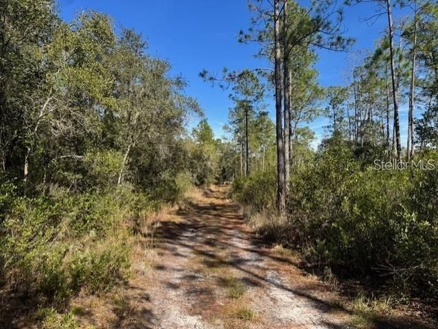 NE 150TH AVE ROAD LOT 5, Fort Mc Coy, FL 32134