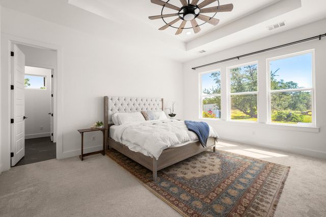 209 Esperanza Petal PASS, Liberty Hill, TX 78642