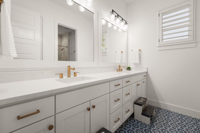 209 Esperanza Petal PASS, Liberty Hill, TX 78642