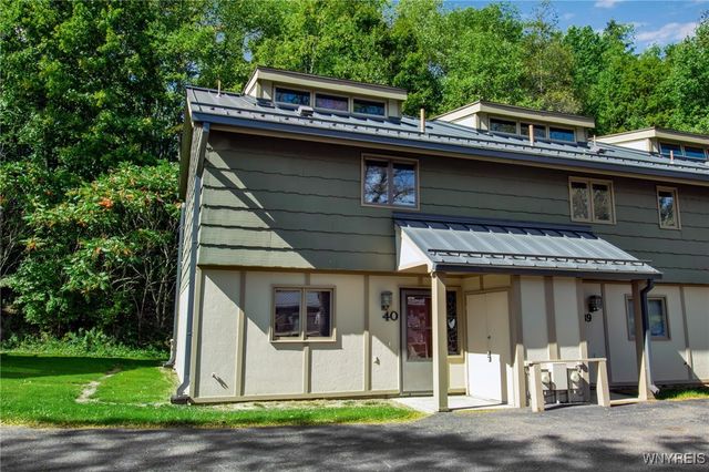 40 Alpine Meadows, Ellicottville, NY 14731