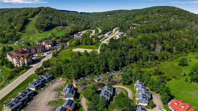 40 Alpine Meadows, Ellicottville, NY 14731