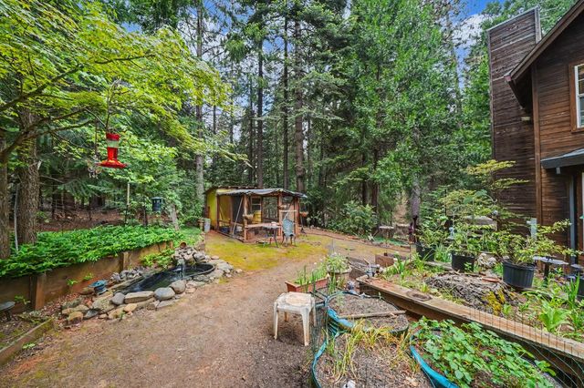 19050 Circle View Dr, Pioneer, CA 95666