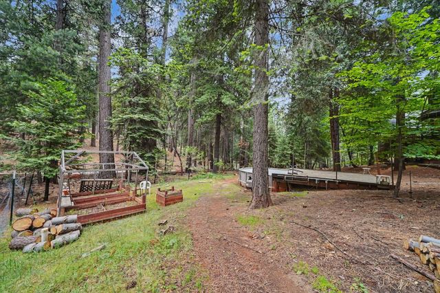 19050 Circle View Dr, Pioneer, CA 95666