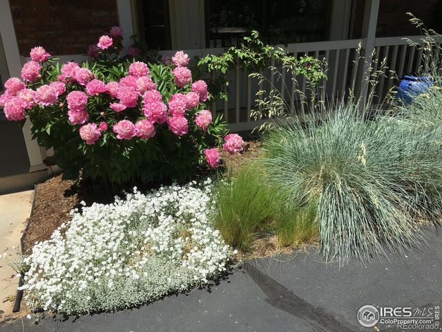 1833 Ridgecrest Road, Fort Collins, CO 80524