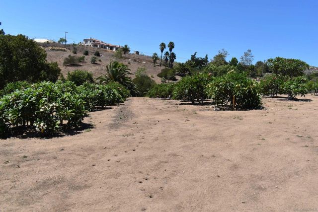 1549 Sleeping Indian Rd, Fallbrook, CA 92028