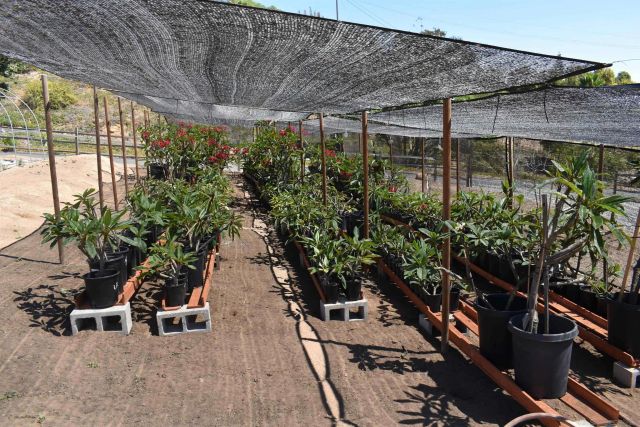 1549 Sleeping Indian Rd, Fallbrook, CA 92028