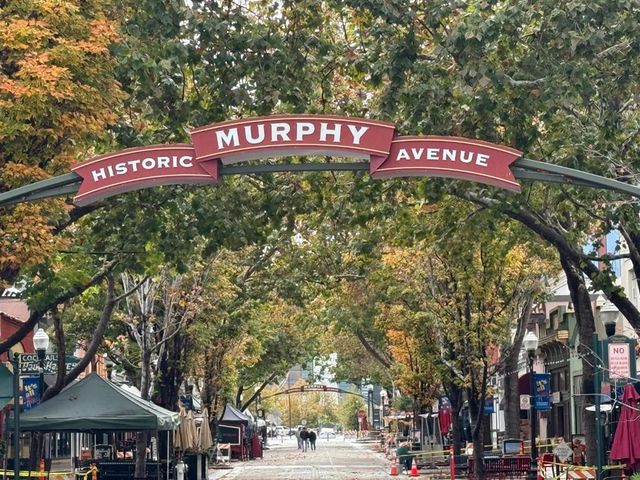 134 Carroll Street 202, Sunnyvale, CA 94086