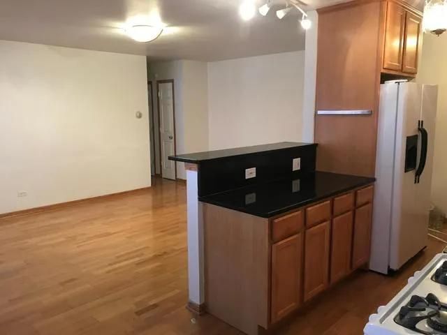 313 Elgin Avenue 203, Forest Park, IL 60130