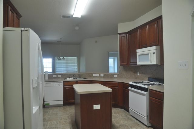 19118 Mossy Hedge Lane, Katy, TX 77449