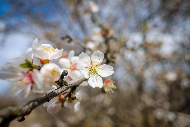 7581 E Kings Canyon Road, Fresno, CA 93737