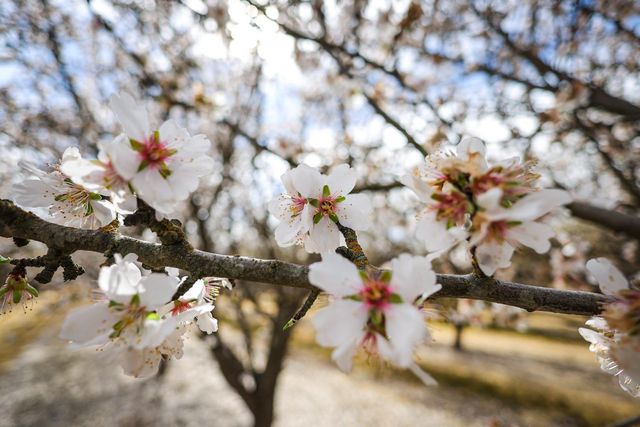 7581 E Kings Canyon Road, Fresno, CA 93737