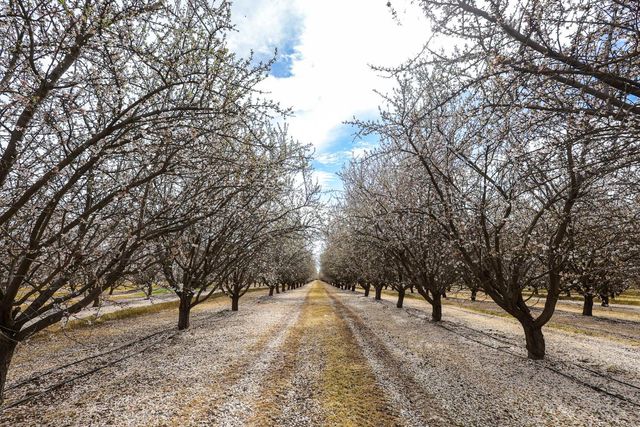 7581 E Kings Canyon Road, Fresno, CA 93737