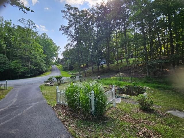 811 SLEEPY HOLLOW DR, Wirtz, VA 24184