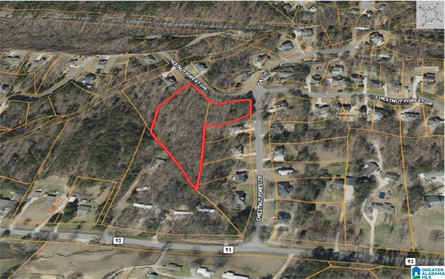 303 CHESTNUT FOREST DRIVE, Helena, AL 35080