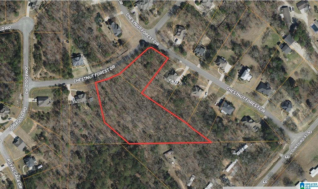 303 CHESTNUT FOREST DRIVE, Helena, AL 35080