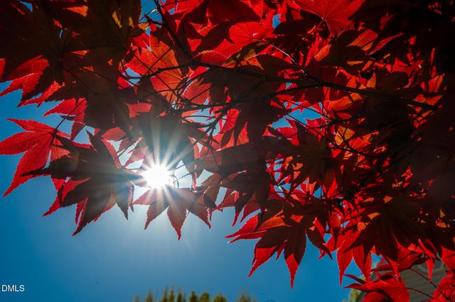 5319 Corinthian Way, Raleigh, NC 27607