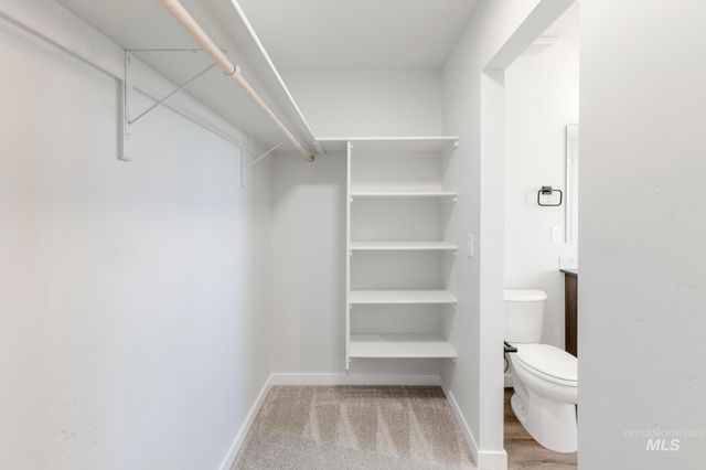 6699 W Fairy Falls Dr, Meridian, ID 83646