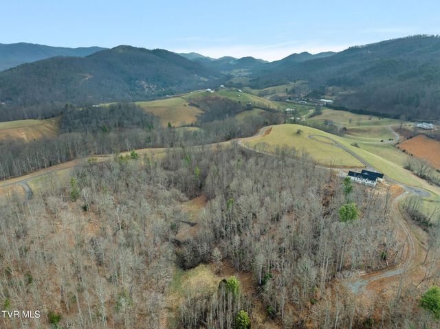 000 Mountain Laurel Lane Road, Butler, TN 37640