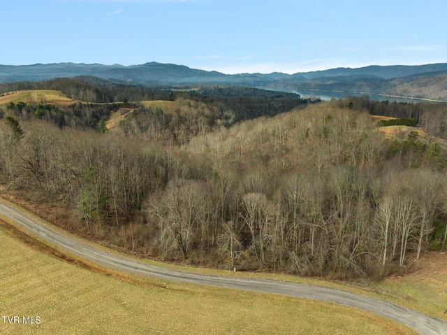 000 Mountain Laurel Lane Road, Butler, TN 37640