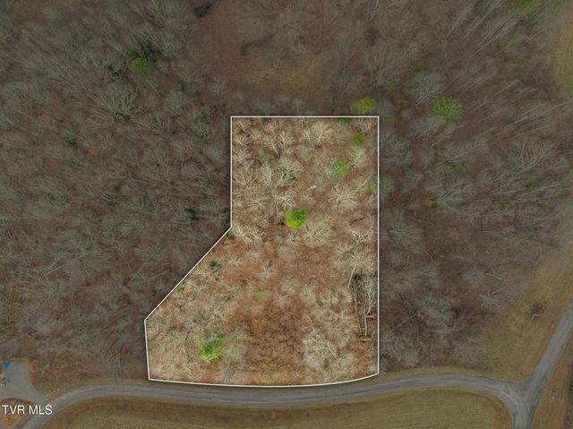 000 Mountain Laurel Lane Road, Butler, TN 37640