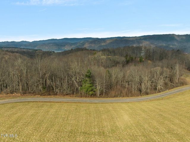 000 Mountain Laurel Lane Road, Butler, TN 37640