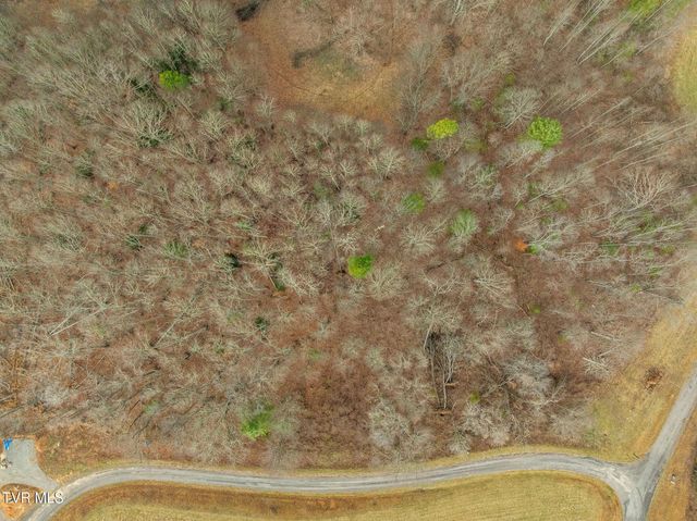 000 Mountain Laurel Lane Road, Butler, TN 37640