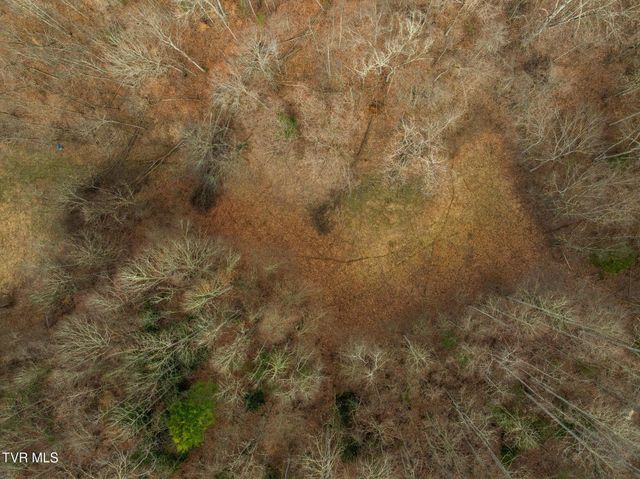 000 Mountain Laurel Lane Road, Butler, TN 37640
