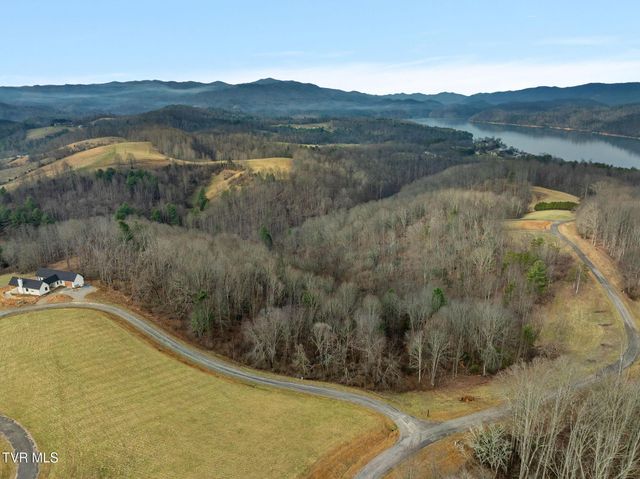 000 Mountain Laurel Lane Road, Butler, TN 37640
