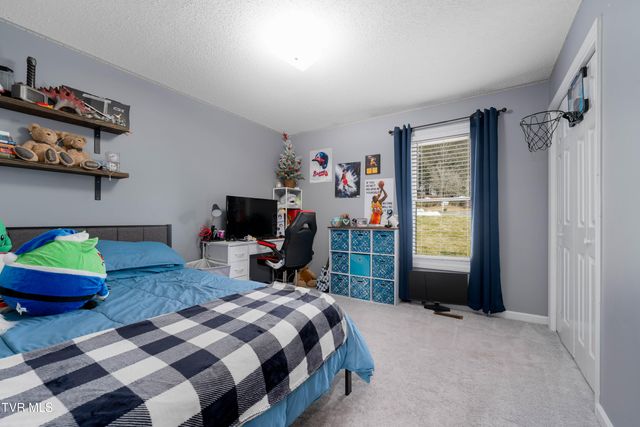 125 Rosebud Lane, Gray, TN 37615