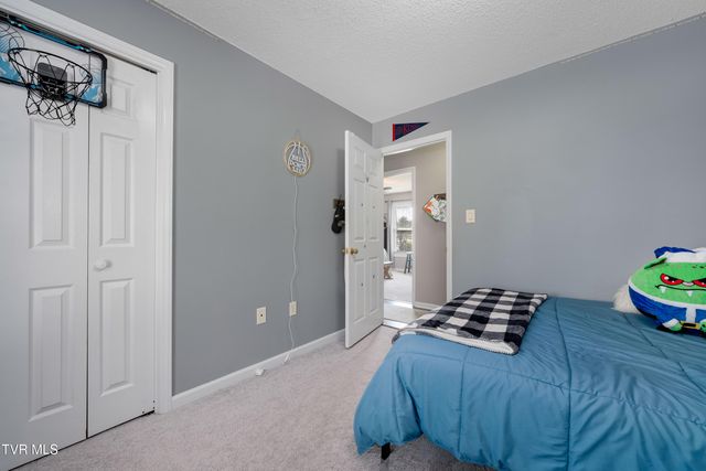 125 Rosebud Lane, Gray, TN 37615