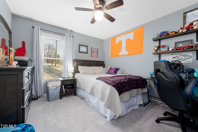 125 Rosebud Lane, Gray, TN 37615