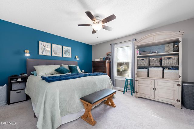 125 Rosebud Lane, Gray, TN 37615