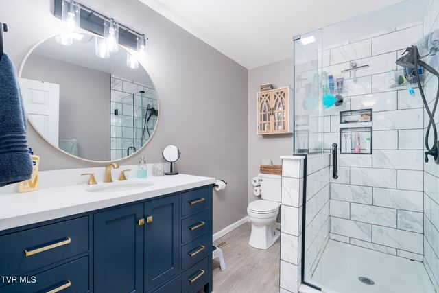 125 Rosebud Lane, Gray, TN 37615