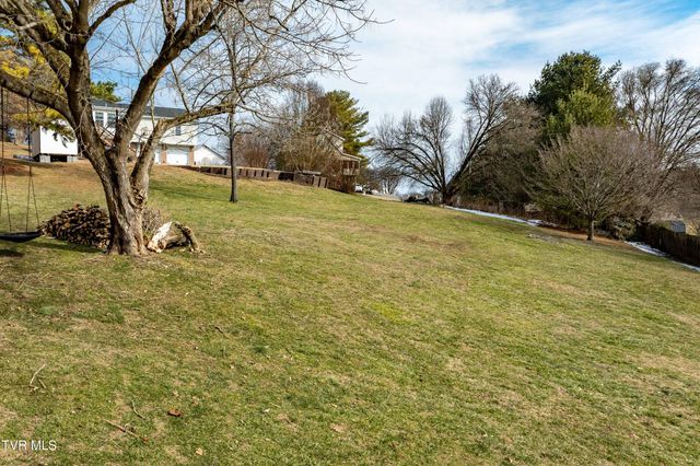 125 Rosebud Lane, Gray, TN 37615