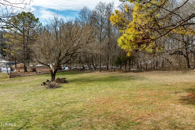 125 Rosebud Lane, Gray, TN 37615