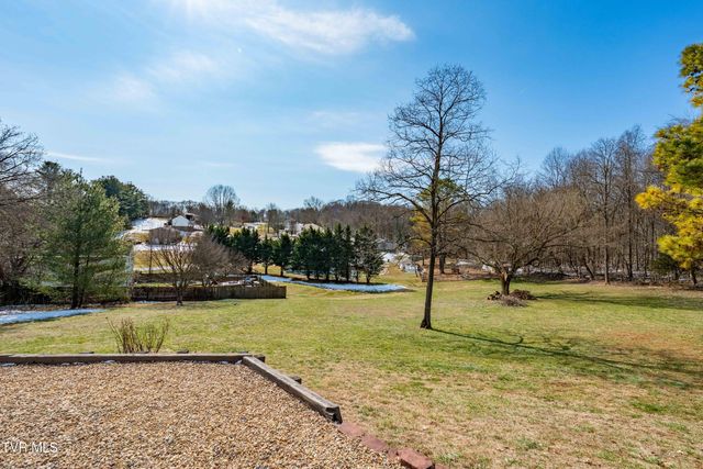 125 Rosebud Lane, Gray, TN 37615