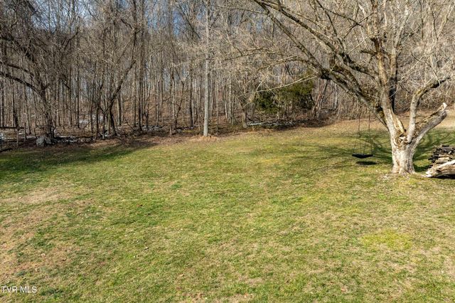 125 Rosebud Lane, Gray, TN 37615