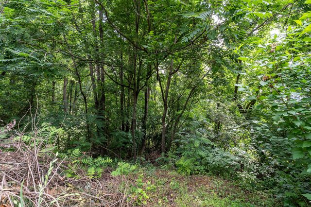 112 Leslie Court, Kingsport, TN 37663